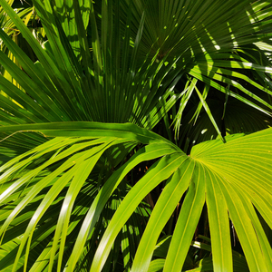 中国老妈ⅩⅩx69中国
